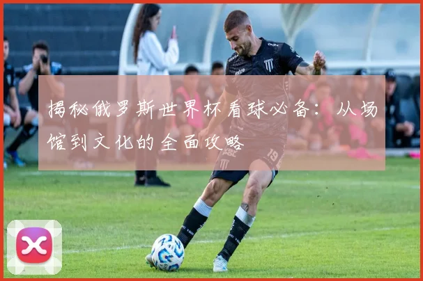 揭秘俄罗斯世界杯看球必备：从场馆到文化的全面攻略