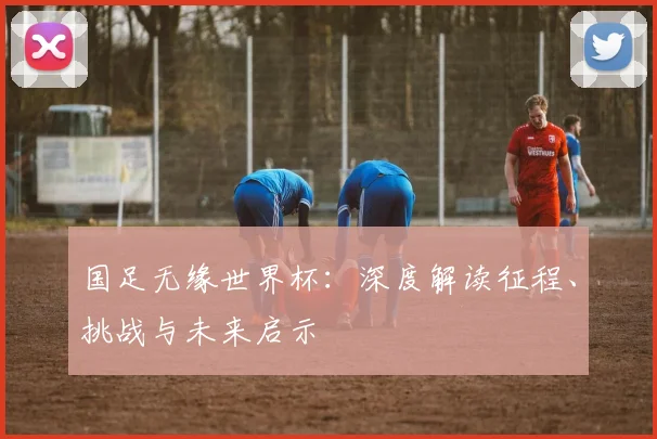 国足无缘世界杯:深度解读征程、挑战与未来启示