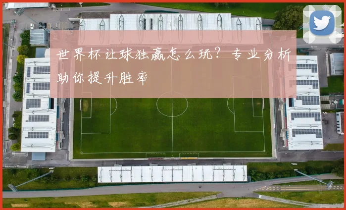 世界杯让球独赢怎么玩?专业分析助你提升胜率