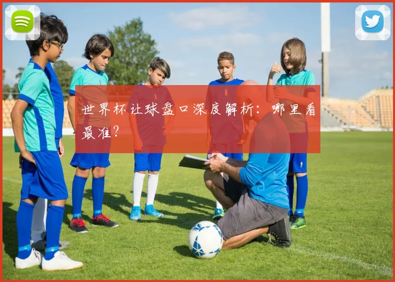 世界杯让球盘口深度解析:哪里看最准?