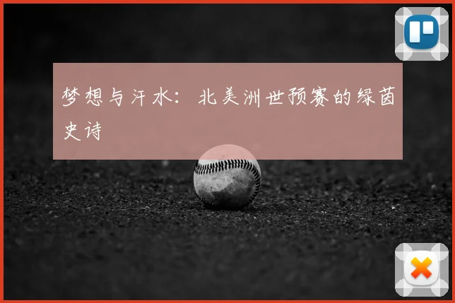 梦想与汗水：北美洲世预赛的绿茵史诗
