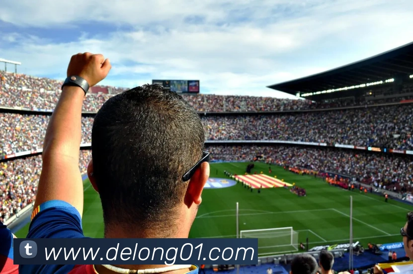 App Interface Preview