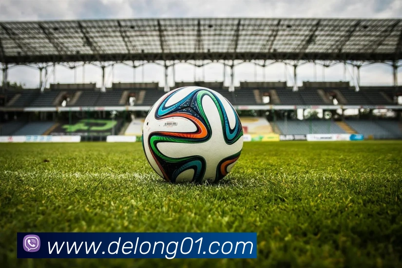 女排世界杯17场全程回放:精彩对决一网打尽