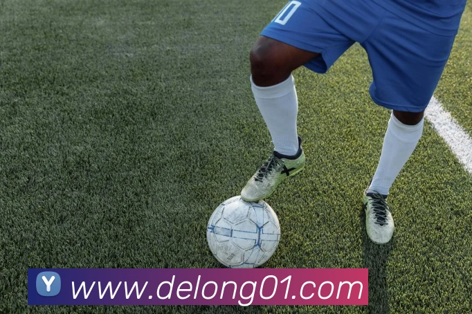 mk官网入口全站App